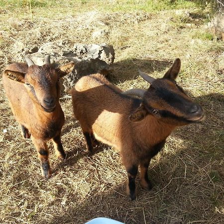 Camping Parc Saint Sauvayre Vagnas Dış mekan fotoğraf