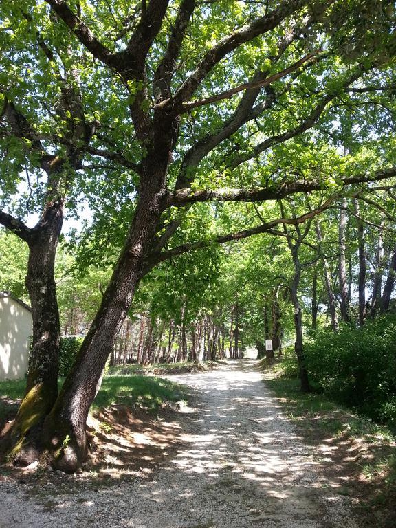 Camping Parc Saint Sauvayre Vagnas Dış mekan fotoğraf